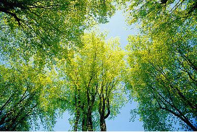 依旧无敌！《荒野大镖客2》vs《羊蹄山之魂》对比视频